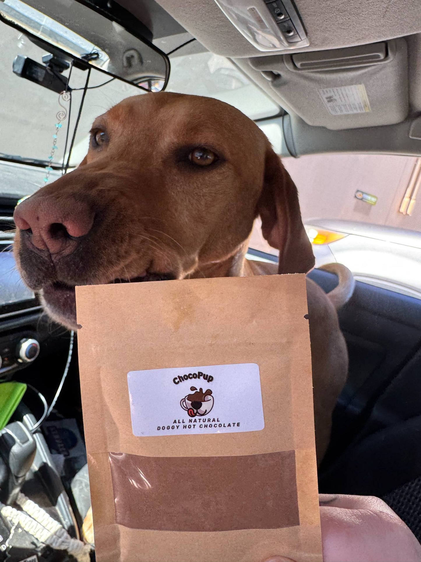 Original Flavour- Doggy Hot Chocolate