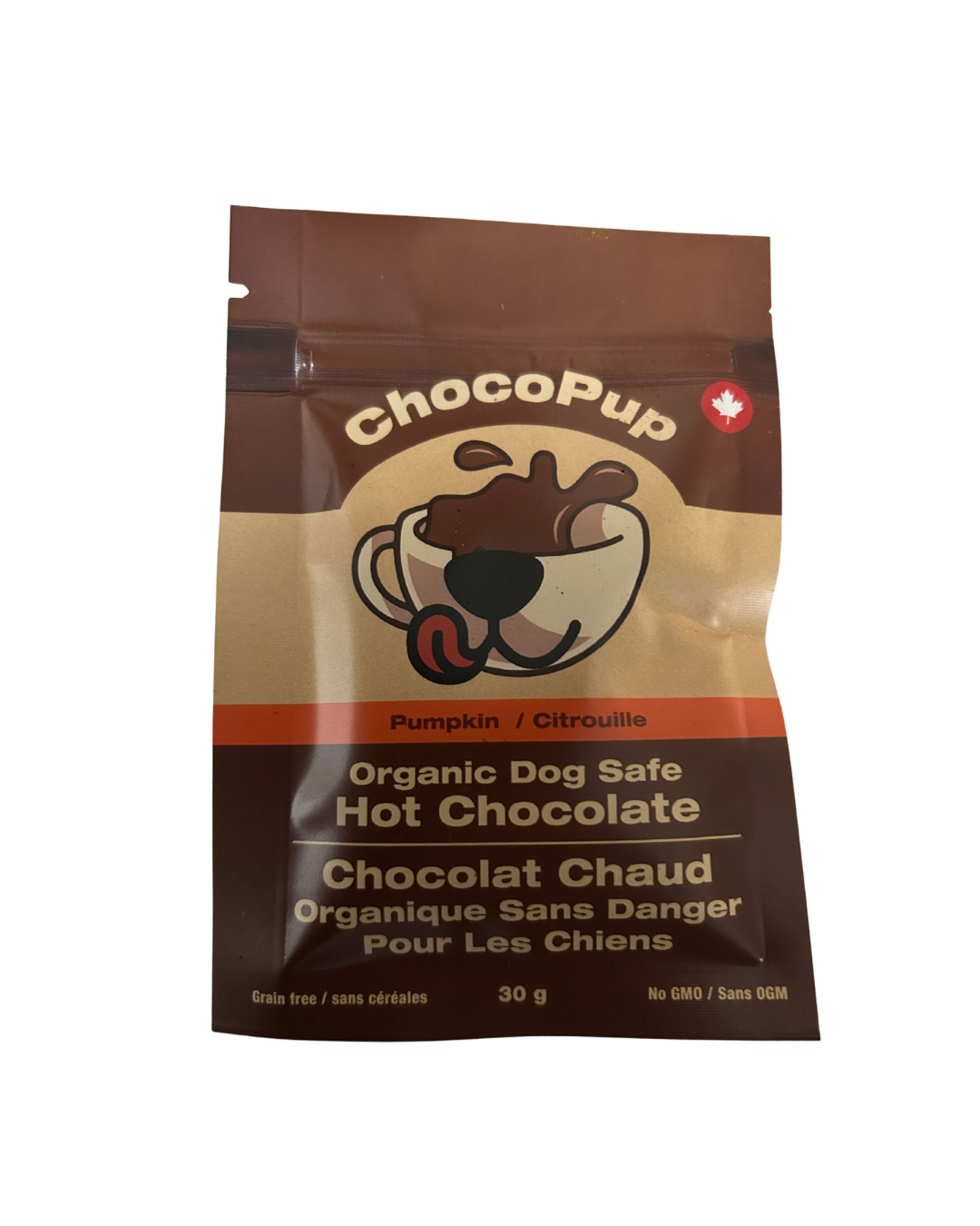 Pumpkin Flavoured Dog Safe Hot Chocolate