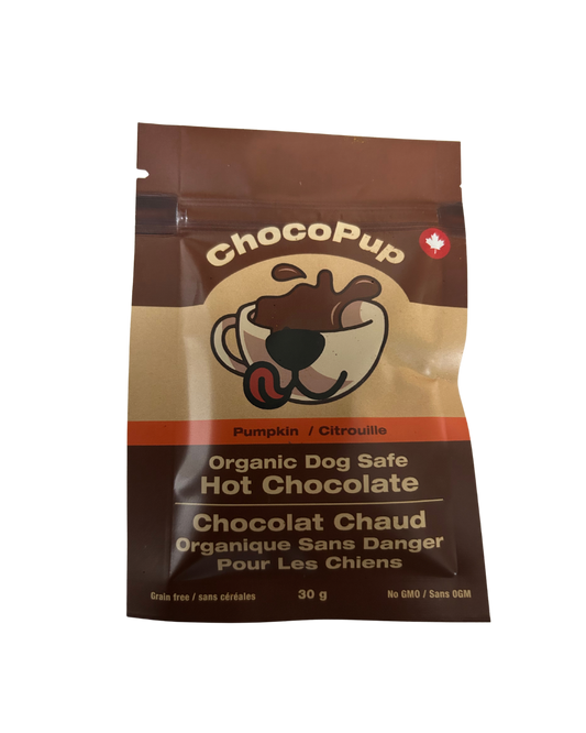Pumpkin Flavoured Dog Safe Hot Chocolate