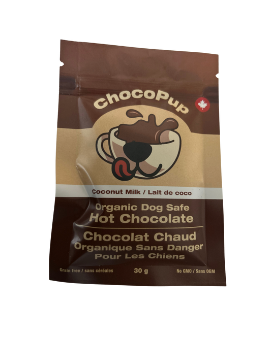 Coconut Milk Flavoured Dog Hot Chocolate