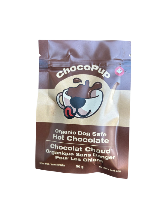 Original Flavour- Doggy Hot Chocolate